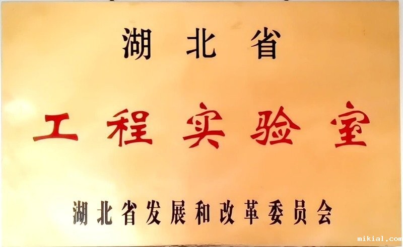 湖北省工程实验室 (2)